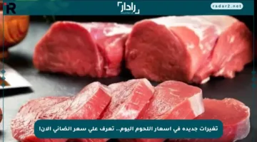 تغيرات جديدة في أسعار اللحوم اليوم.. تعرف على سعر الضاني الآن!